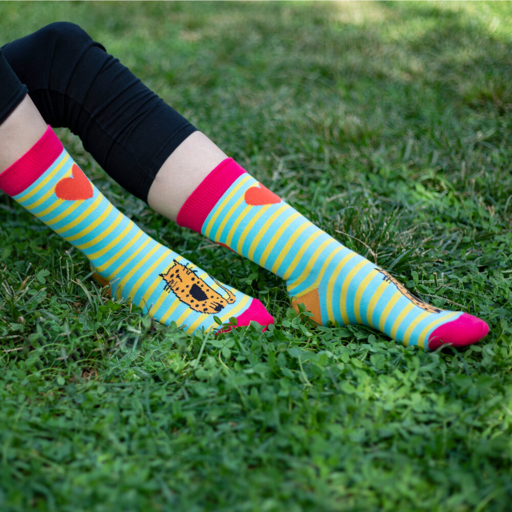 Biggdesign Cats Women's Socket Sock Set | Turkish Airlines Online Store ...