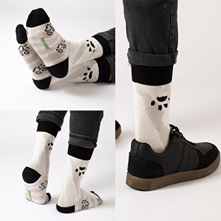 Picture of Biggdesign Dogs Men's Socks Set