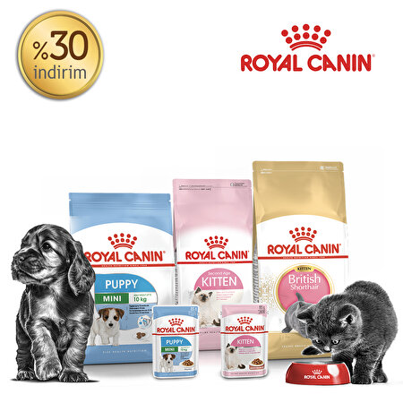 royal canin dog food coupons