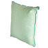 Picture of AnemoSS Green Crab Pillow