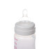 Picture of Mamajoo Silver Feeding Bottle 250 ml